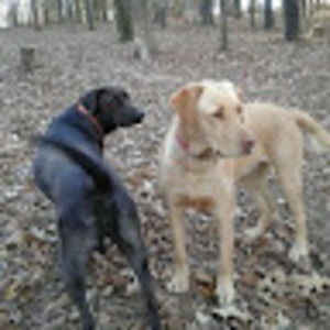 Meet your Posher, Jeanine